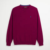 Maglione 100% Cotone Girocollo - Anemone