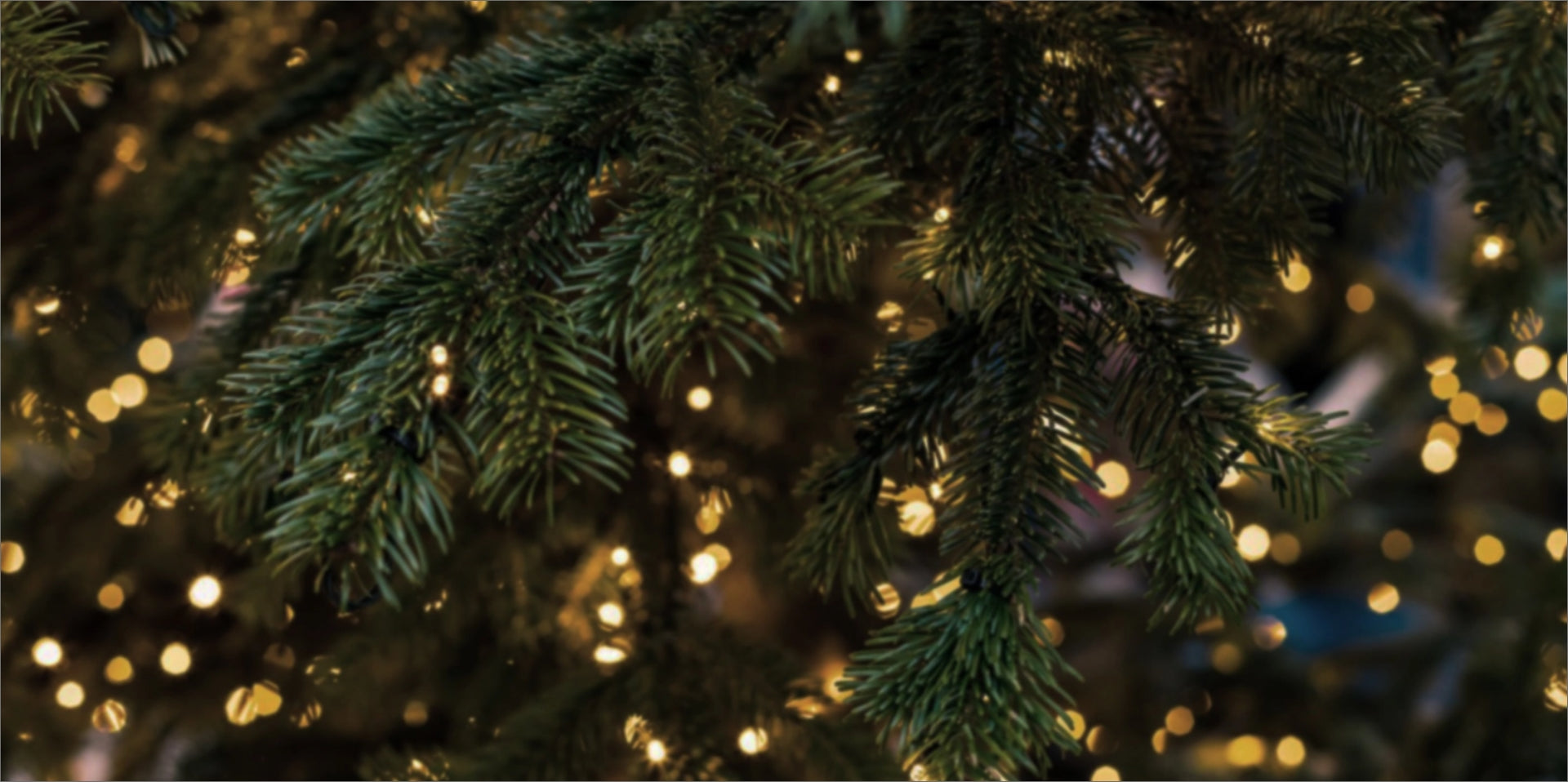 MCS idee regalo natale uomo ispirati alla natura