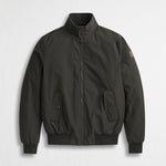 Giubbotto Harrington Softshell - Falcon