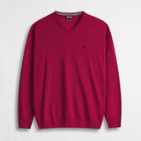 Maglia Collo a V in Misto Lana - Beaujolais