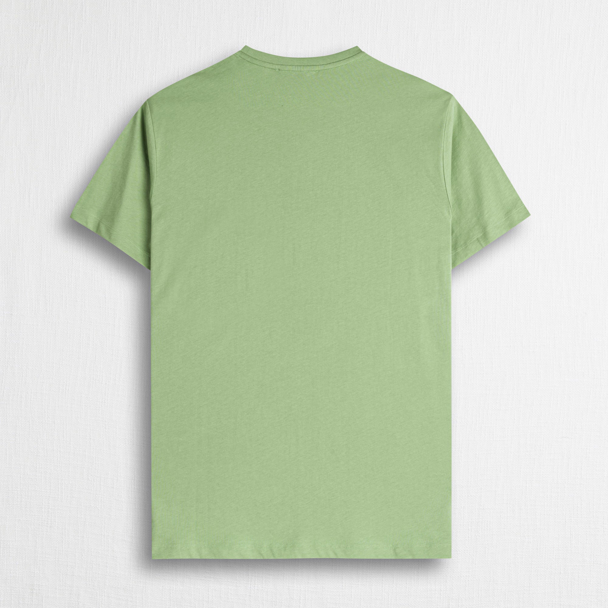 T-shirt 100% cotone con stampa maxi frontale - Light Green