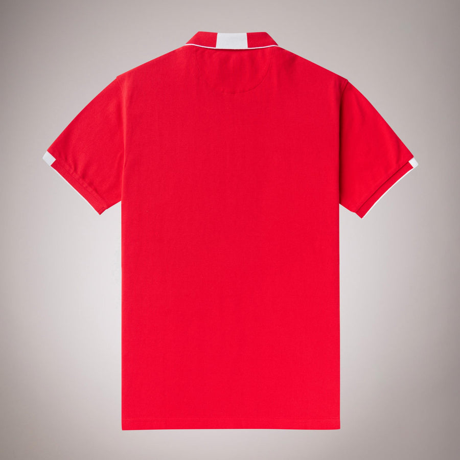 Plain Polo Shirt with Stripe Detail 100% Cotton
