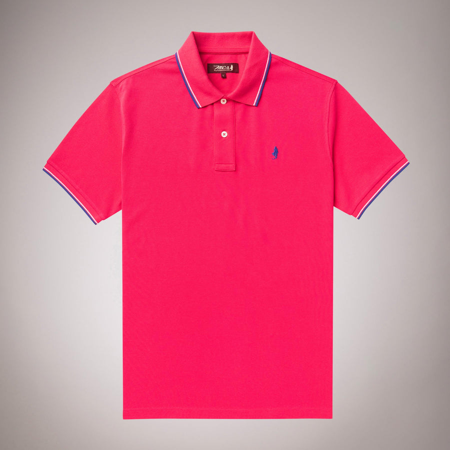 Polo shirt with contrasting stripes in stretch cotton