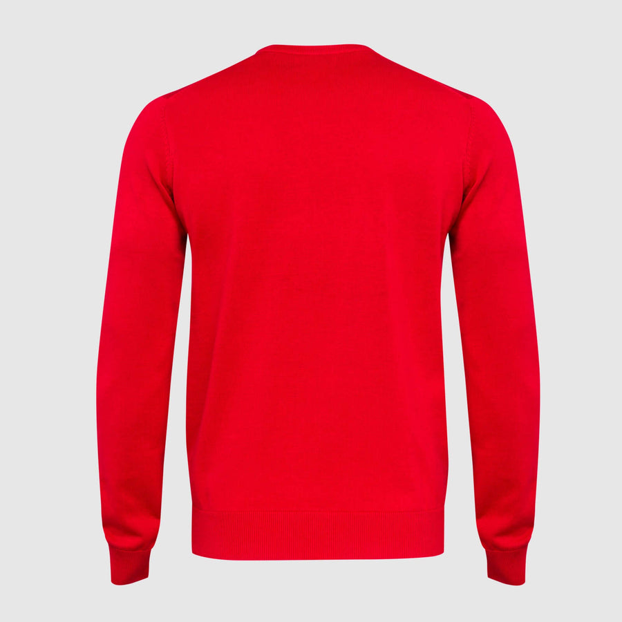 Maglia girocollo colorata "Biowash"