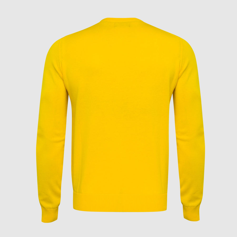 Maglia girocollo colorata "Biowash"