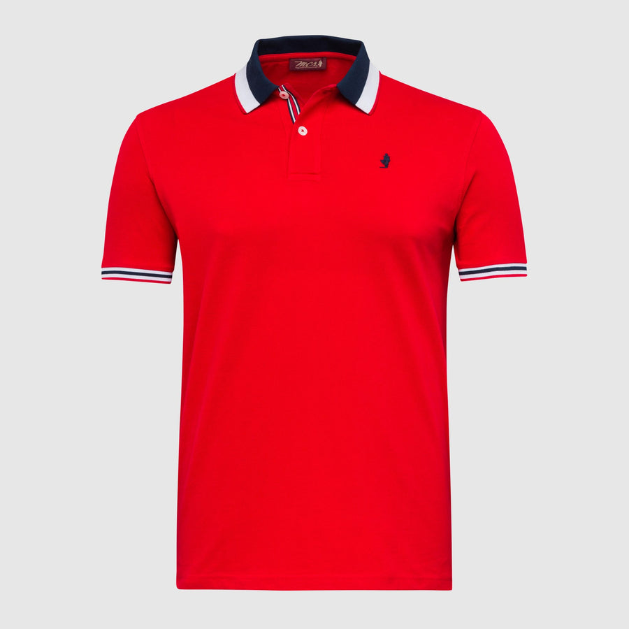 Polo shirt with striped collar