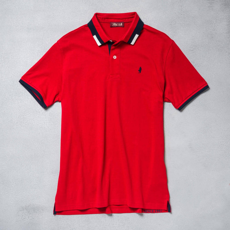 Jersey polo shirt with coloured striped collar