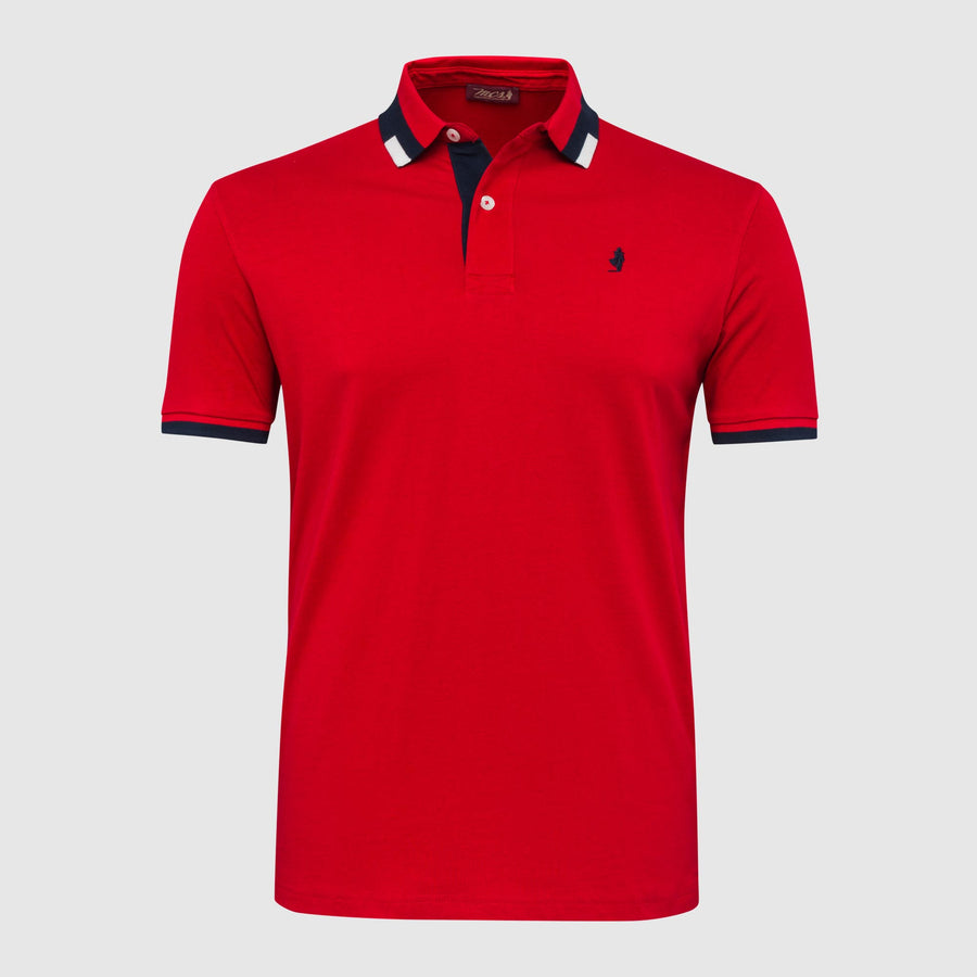 Jersey polo shirt with coloured striped collar