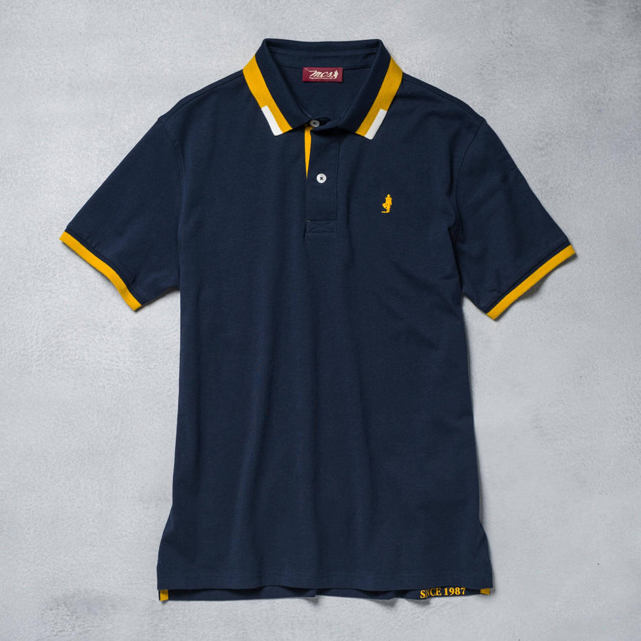 Jersey polo shirt with coloured striped collar