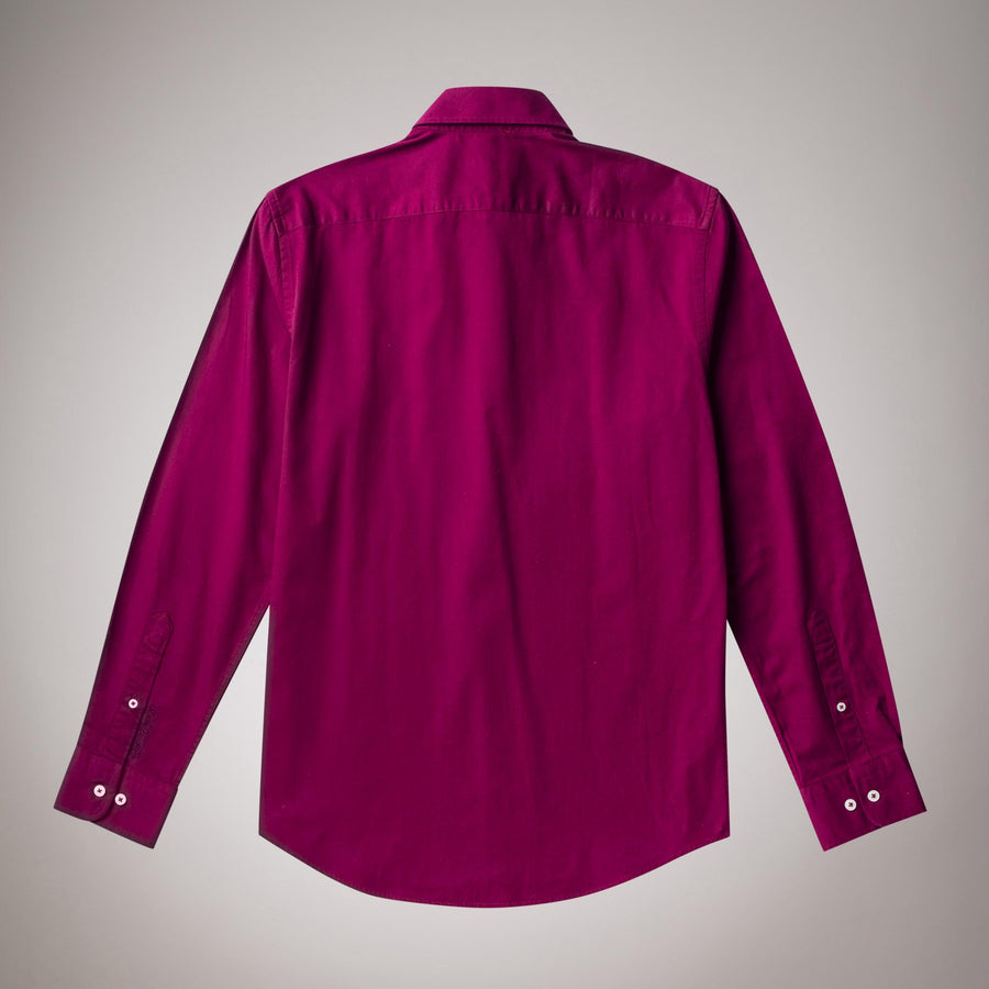 Solid colour button-down shirt in cotton gabardine