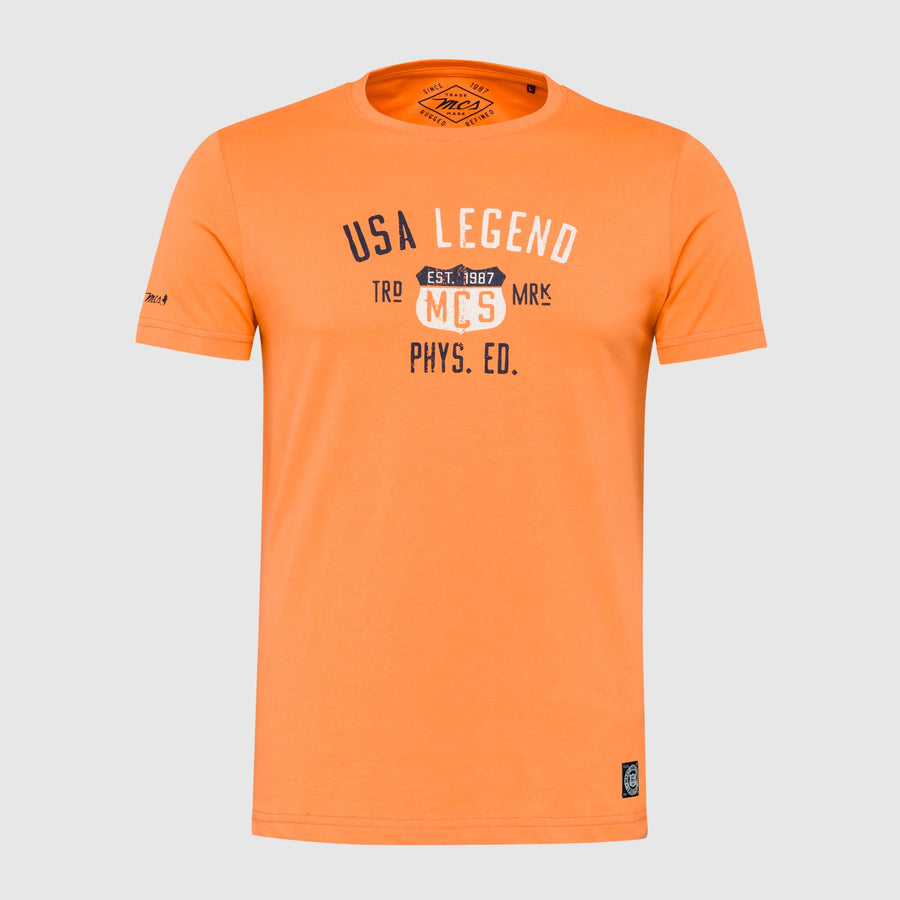 T-shirt with heritage print